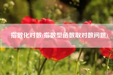 指数化对数(指数型函数取对数问题)
