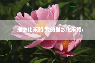 指数化策略(我的指数化策略)