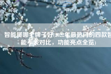 智能屏哪个牌子好(2022年最热门的四款智能手表对比，功能亮点全览)