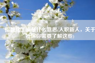 指数化工资是什么意思(入职新人，关于社保你需要了解这些)