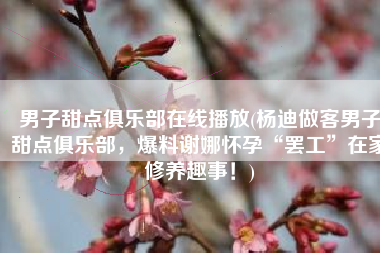 男子甜点俱乐部在线播放(杨迪做客男子甜点俱乐部，爆料谢娜怀孕“罢工”在家修养趣事！)