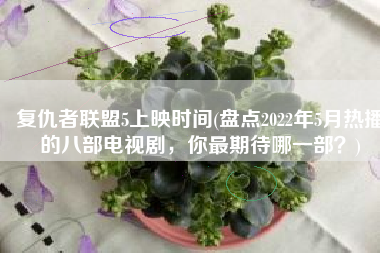 复仇者联盟5上映时间(盘点2022年5月热播的八部电视剧，你最期待哪一部？)
