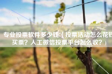 专业投票软件多少钱（投票活动怎么花钱买票？人工微信投票平台怎么收？)
