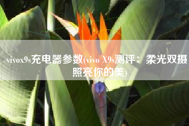 vivox9s充电器参数(vivo X9s测评：柔光双摄，照亮你的美)