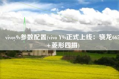 vivoy9s参数配置(vivo Y9s正式上线：骁龙665+菱形四摄)