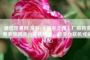 通信世界网 奖杯(《堡垒之夜》厂商将免费开放跨平台联机技术，跨平台联机或成标配)