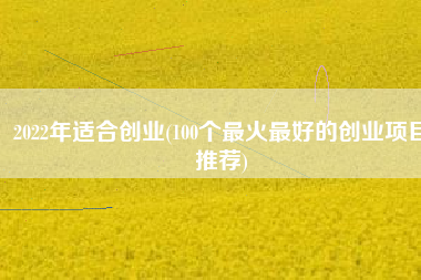 2022年适合创业(100个最火最好的创业项目推荐)