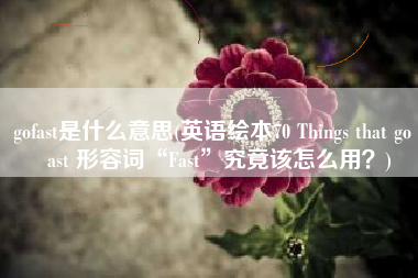 gofast是什么意思(英语绘本70 Things that go fast 形容词“Fast”究竟该怎么用？)