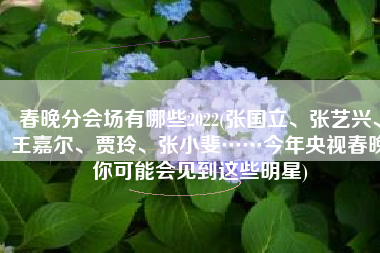 春晚分会场有哪些2022(张国立、张艺兴、王嘉尔、贾玲、张小斐……今年央视春晚你可能会见到这些明星)