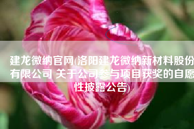建龙微纳官网(洛阳建龙微纳新材料股份有限公司 关于公司参与项目获奖的自愿性披露公告)