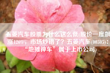 五菱汽车股票为什么这么低(股价一度飙涨126%，市场炒错了？五菱汽车(00305)：“地摊神车”属于上市公司)