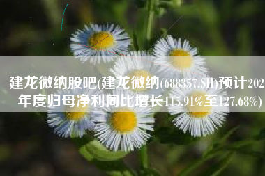 建龙微纳股吧(建龙微纳(688357.SH)预计2021年度归母净利同比增长115.91%至127.68%)