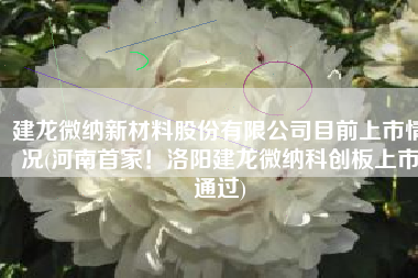 建龙微纳新材料股份有限公司目前上市情况(河南首家！洛阳建龙微纳科创板上市通过)