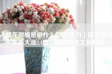 建龙微纳是做什么的(八大力｜建龙微纳年内大涨2.4倍，稀缺的化工新材料)
