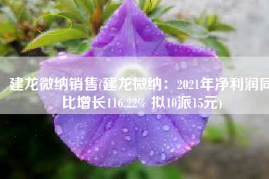 建龙微纳销售(建龙微纳：2021年净利润同比增长116.22% 拟10派15元)
