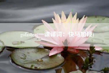 gofaster(一课译词：快马加鞭)