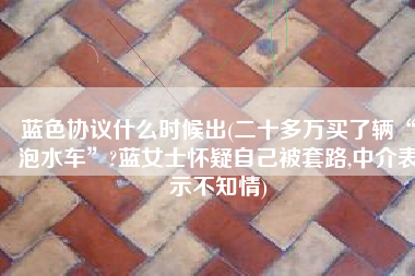 蓝色协议什么时候出(二十多万买了辆“泡水车”?蓝女士怀疑自己被套路,中介表示不知情)