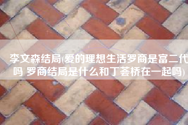 李文森结局(爱的理想生活罗商是富二代吗 罗商结局是什么和丁荟桥在一起吗)