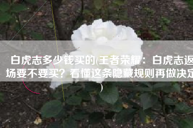 白虎志多少钱买的(王者荣耀：白虎志返场要不要买？看懂这条隐藏规则再做决定)