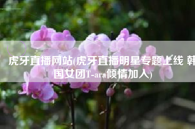 虎牙直播网站(虎牙直播明星专题上线 韩国女团T-ara倾情加入)