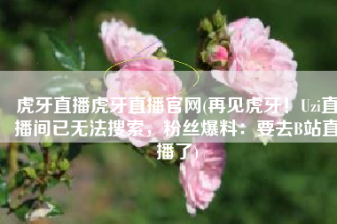 虎牙直播虎牙直播官网(再见虎牙！Uzi直播间已无法搜索，粉丝爆料：要去B站直播了)
