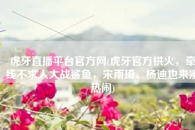 虎牙直播平台官方网(虎牙官方拱火，牵线不求人大战鲨鱼，宋雨琦、杨迪也来凑热闹)