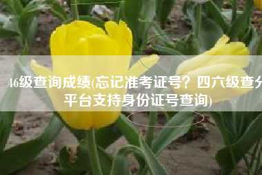 46级查询成绩(忘记准考证号？四六级查分平台支持身份证号查询)