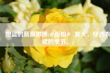 图盗的新浪微博(#街拍#  夏天，穿连衣裙的季节。)
