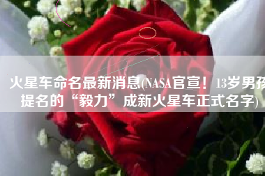 火星车命名最新消息(NASA官宣！13岁男孩提名的“毅力”成新火星车正式名字)