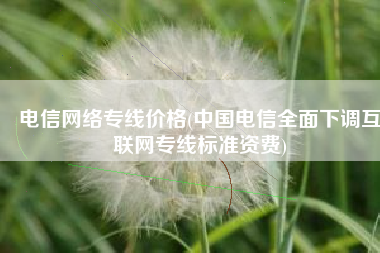 电信网络专线价格(中国电信全面下调互联网专线标准资费)