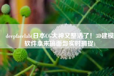 deepfacelab(日本CG大神又整活了！3D建模软件拿来搞面部实时捕捉)