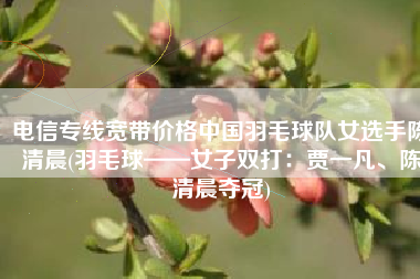 电信专线宽带价格中国羽毛球队女选手陈清晨(羽毛球——女子双打：贾一凡、陈清晨夺冠)