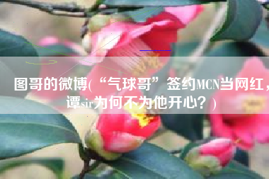 图哥的微博(“气球哥”签约MCN当网红，谭sir为何不为他开心？)