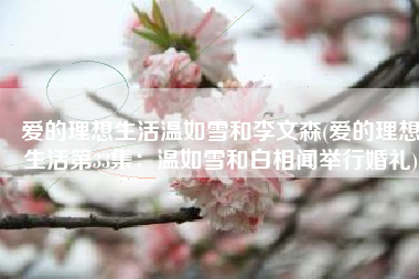 爱的理想生活温如雪和李文森(爱的理想生活第33集：温如雪和白相闻举行婚礼)