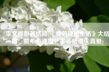李文森原著结局(《爱的理想生活》大结局：戴希希裸婚，丁荟桥错失真爱)
