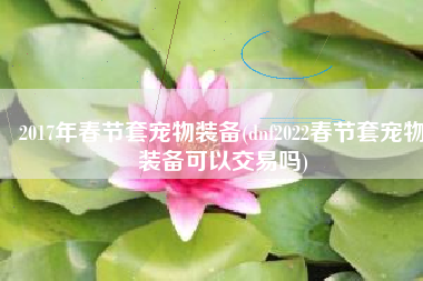 2017年春节套宠物装备(dnf2022春节套宠物装备可以交易吗)