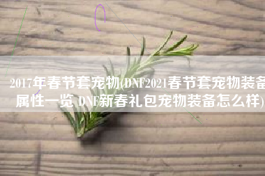 2017年春节套宠物(DNF2021春节套宠物装备属性一览 DNF新春礼包宠物装备怎么样)