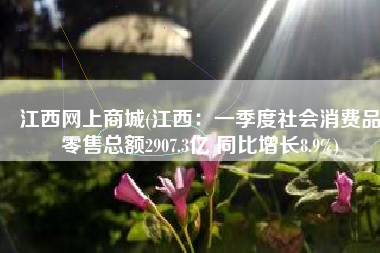 江西网上商城(江西：一季度社会消费品零售总额2907.3亿 同比增长8.9%)