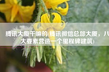 腾讯大厦干嘛的(腾讯微信总部大厦，八大要素营造一个里程碑建筑)