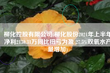 柳化控股有限公司(柳化股份2021年上半年净利2130.31万同比扭亏为盈 27.5%双氧水产量增加)