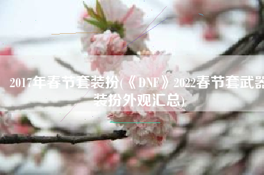 2017年春节套装扮(《DNF》2022春节套武器装扮外观汇总)
