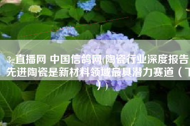 3g直播网 中国信鸽网(陶瓷行业深度报告：先进陶瓷是新材料领域最具潜力赛道（下）)