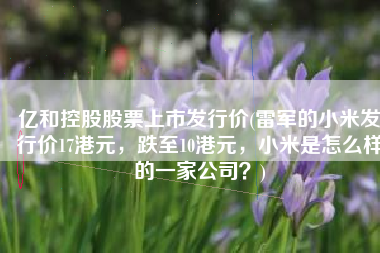亿和控股股票上市发行价(雷军的小米发行价17港元，跌至10港元，小米是怎么样的一家公司？)
