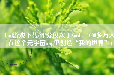 bud游戏下载(评分仅次于Soul，1000多万人在这个元宇宙app里创造“我的世界”)