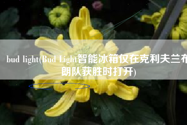 bud light(Bud Light智能冰箱仅在克利夫兰布朗队获胜时打开)