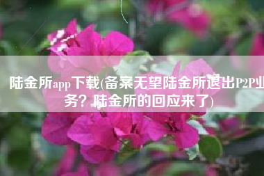 陆金所app下载(备案无望陆金所退出P2P业务？陆金所的回应来了)