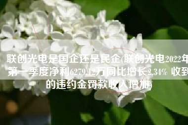 联创光电是国企还是民企(联创光电2022年第一季度净利6279.12万同比增长2.34% 收到的违约金罚款收入增加)