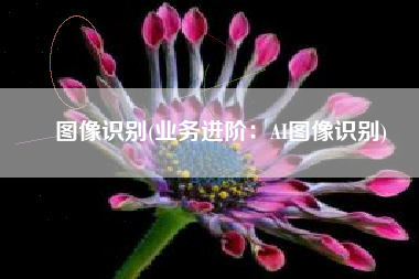 图像识别(业务进阶：AI图像识别)