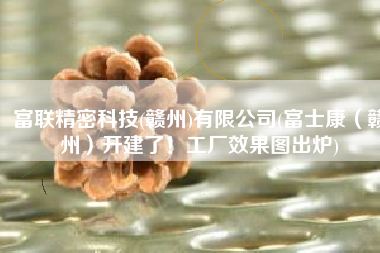 富联精密科技(赣州)有限公司(富士康（赣州）开建了！工厂效果图出炉)