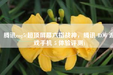 腾讯rog5(超顶屏幕六指战神，腾讯 ROG 游戏手机 5 体验评测)